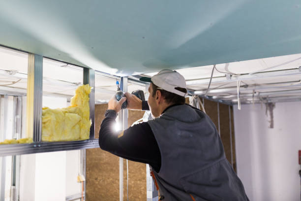 Best Fiberglass Insulation  in Chena Ridge, AK