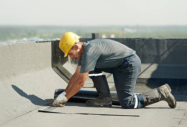 Best Insulation Inspection Services  in Chena Ridge, AK